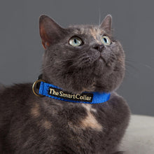 Load image into Gallery viewer, The Smart Collar - Blue, Cat