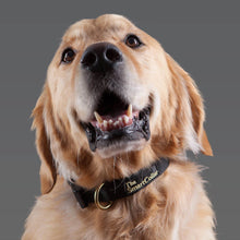 Load image into Gallery viewer, The Smart Collar - Black, Dog