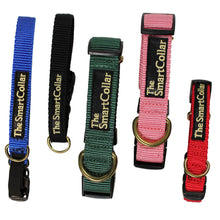 Load image into Gallery viewer, The Smart Collar - 5 Colors

